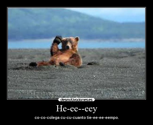 He-ee--eey - co-co-colega cu-cu-cuanto tie-ee-ee-eempo.