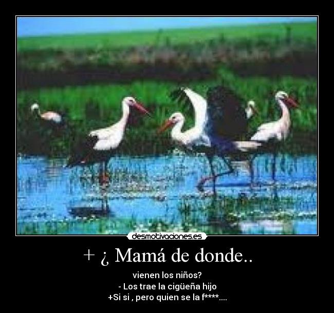 + ¿ Mamá de donde.. - vienen los niños?
- Los trae la cigüeña hijo
+Si si , pero quien se la f****....