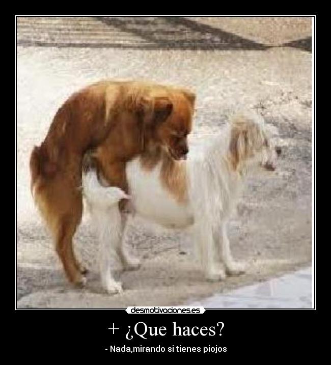 carteles xdddddd siiii fuck yeah juanbiss alexete98 desmotivaciones