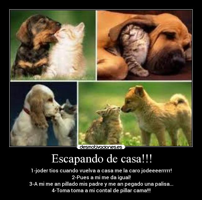 Escapando de casa!!! -