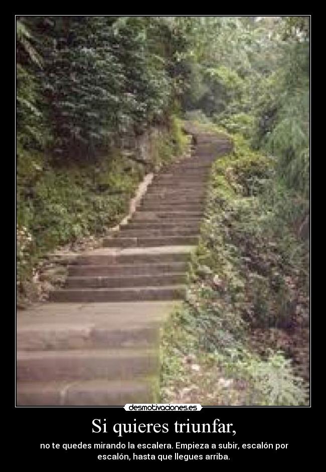 Si quieres triunfar, -  no te quedes mirando la escalera. Empieza a subir, escalón por
escalón, hasta que llegues arriba.