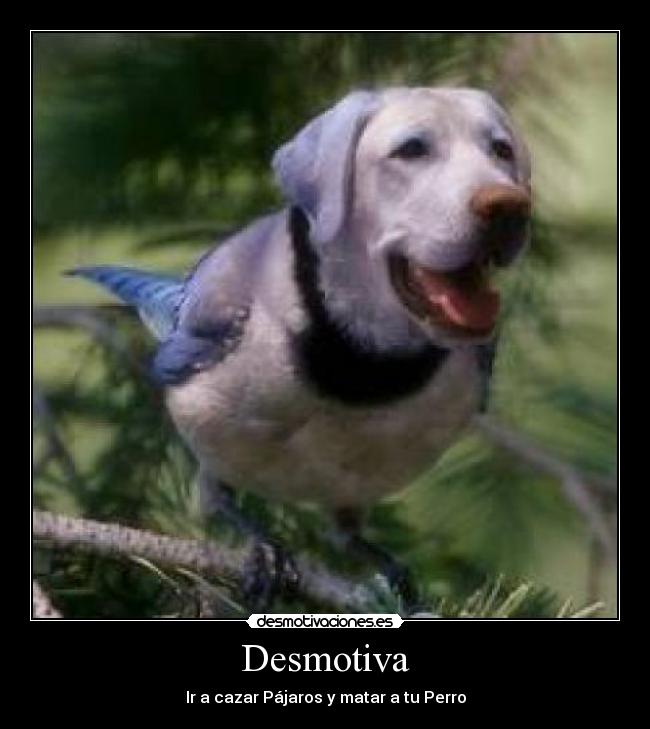 Desmotiva -