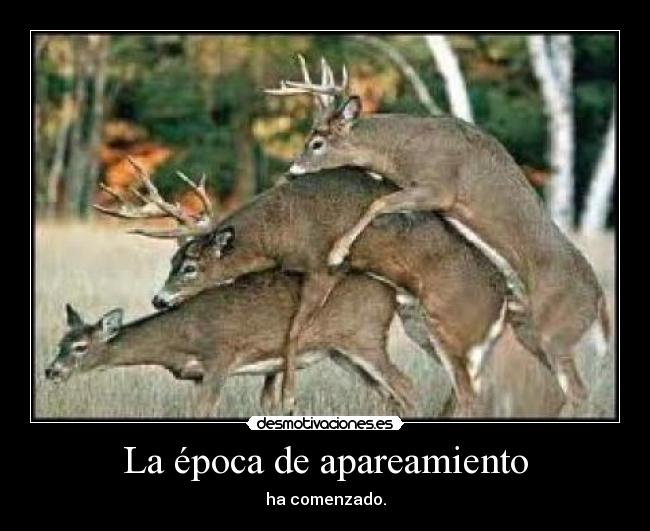 La época de apareamiento - 
