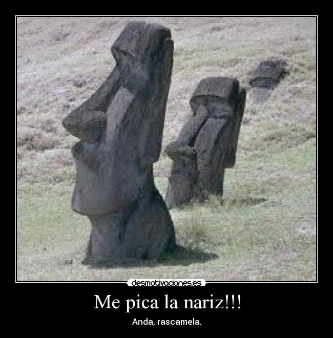 Me pica la nariz!!! - Anda, rascamela.