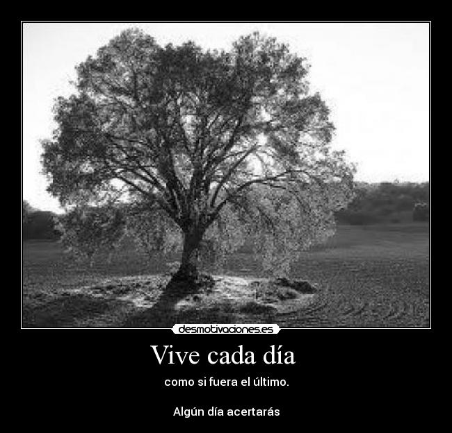 Vive cada día -