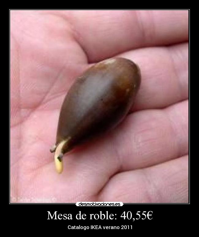 Mesa de roble: 40,55€ - Catalogo IKEA verano 2011