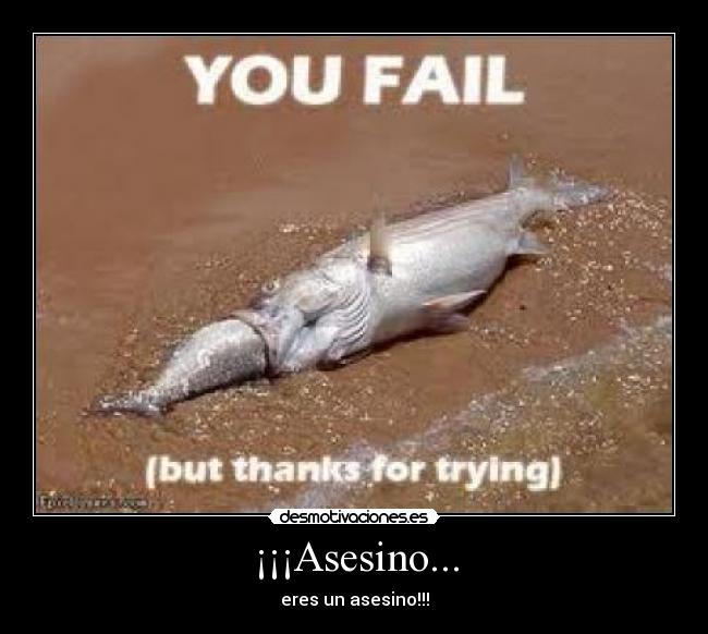 ¡¡¡Asesino... - eres un asesino!!!