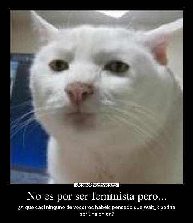 No es por ser feminista pero... - ¿A que casi ninguno de vosotros habéis pensado que Walt_k podría ser una chica?