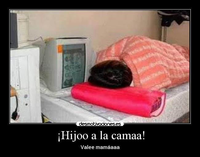 ¡Hijoo a la camaa! - 