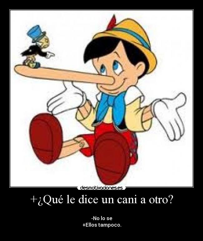 carteles que dice cani otro desmotivaciones