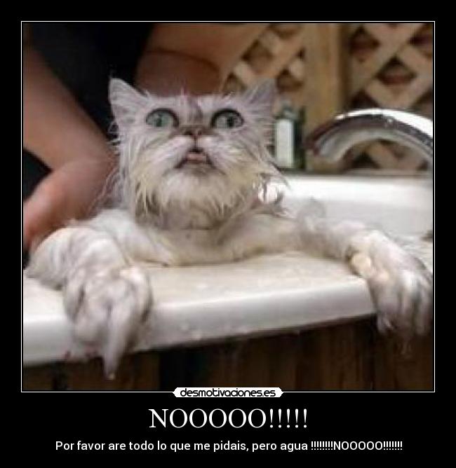 NOOOOO!!!!! -