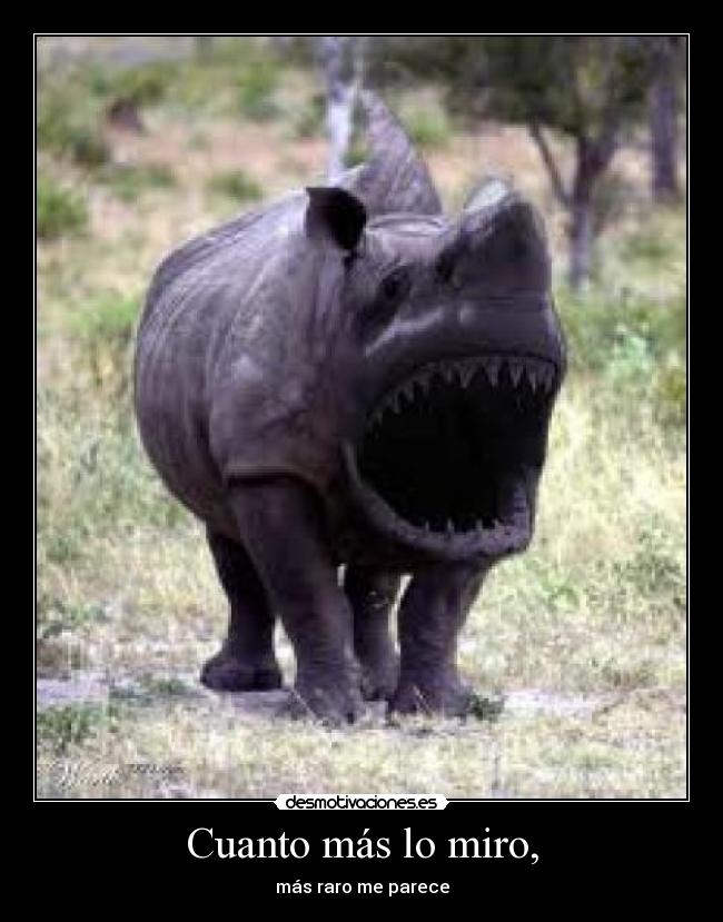 Cuanto más lo miro, - más raro me parece