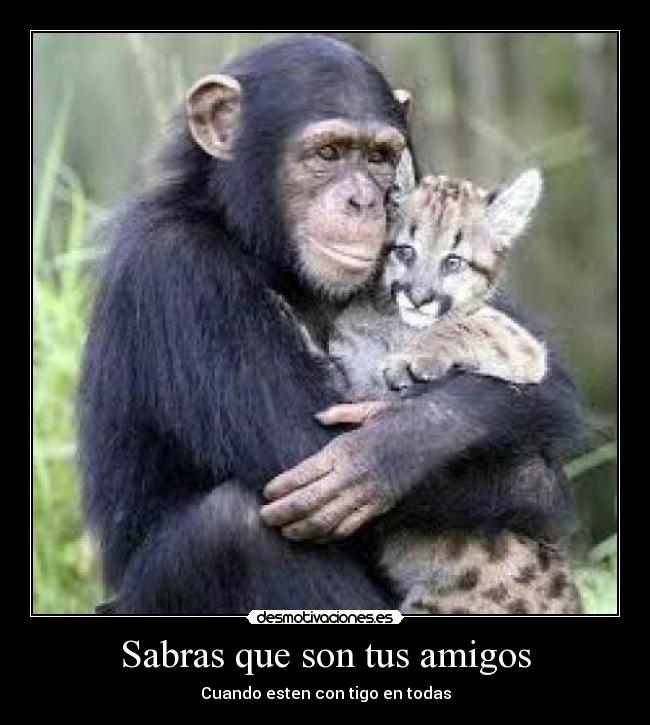 Sabras que son tus amigos - Cuando esten con tigo en todas