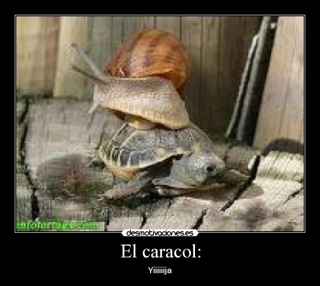 El caracol: - Yiiiiiija