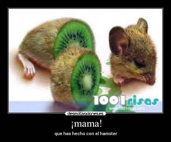 ¡mama! - que has hecho con el hamster