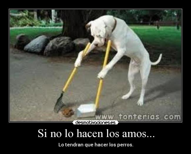 Si no lo hacen los amos... - Lo tendran que hacer los perros.