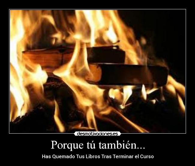 carteles porque tu tambien has quemado tus libros tras terminar curso desmotivaciones