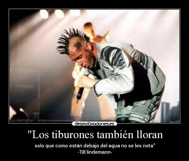 Los tiburones también lloran -