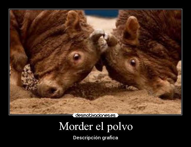 Morder el polvo - 