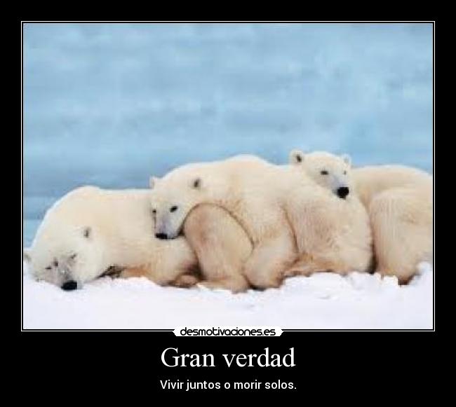 Gran verdad - Vivir juntos o morir solos.
