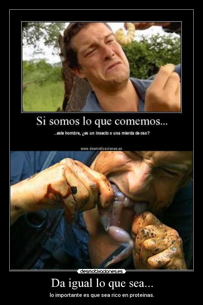 Da igual lo que sea... - 