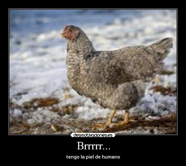 Brrrrr... - tengo la piel de humano
