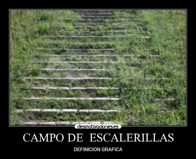 CAMPO DE  ESCALERILLAS - 