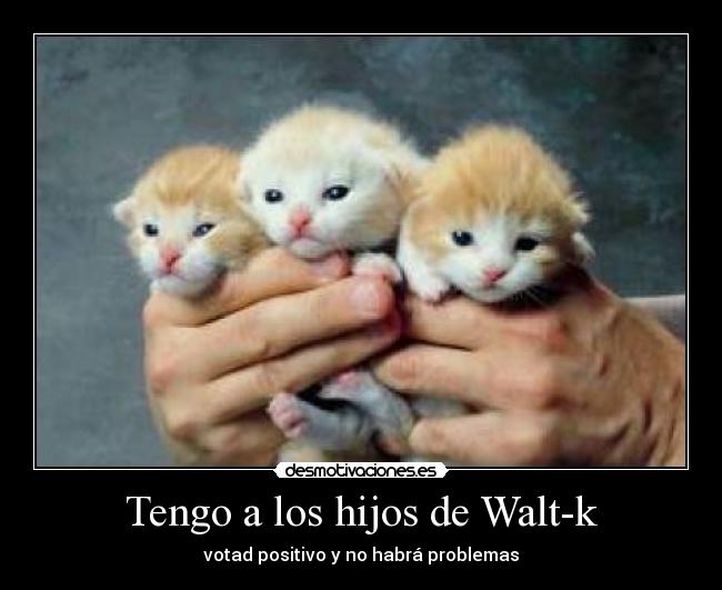 Tengo a los hijos de Walt-k -