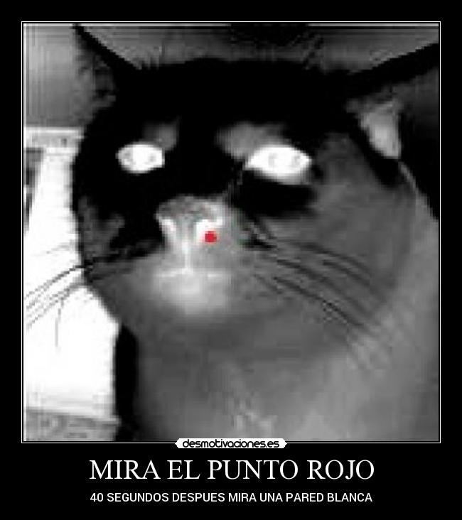carteles desmotivaciones