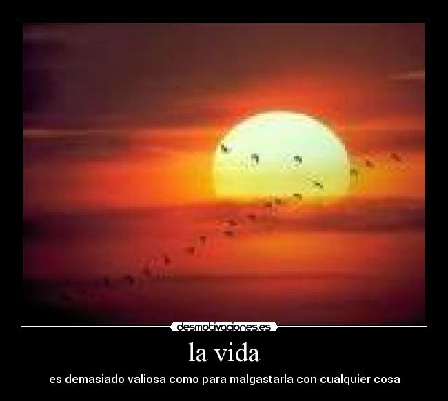 la vida - es demasiado valiosa como para malgastarla con cualquier cosa