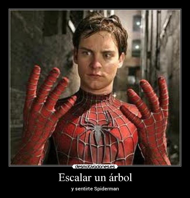 Escalar un árbol - y sentirte Spiderman