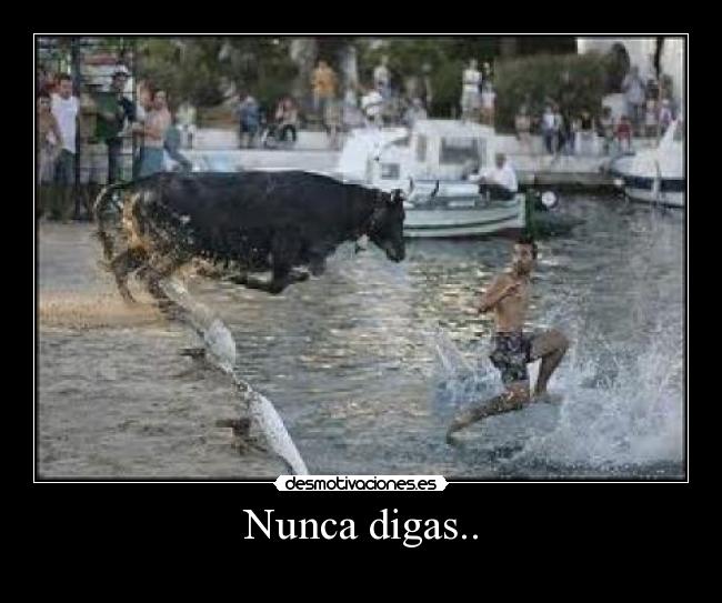Nunca digas.. - 