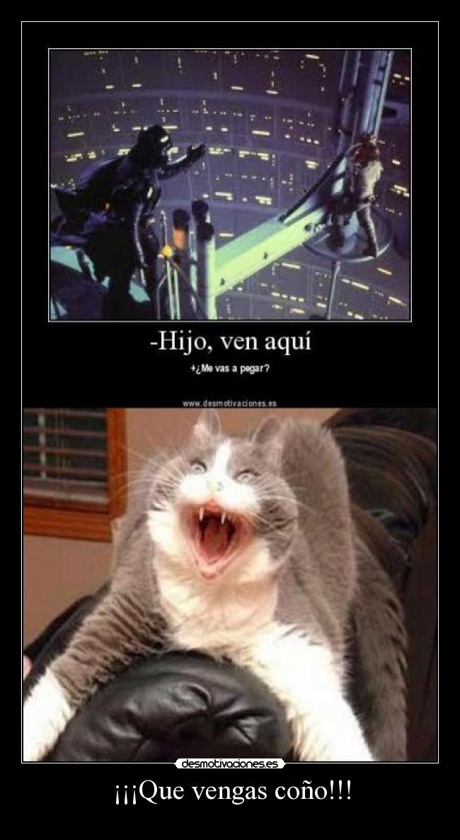 ¡¡¡Que vengas coño!!! - 