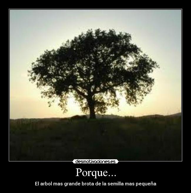 Porque... -
