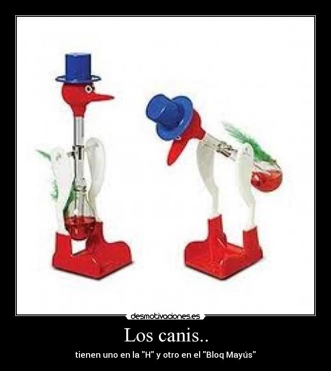 Los canis.. - tienen uno en la H y otro en el Bloq Mayús