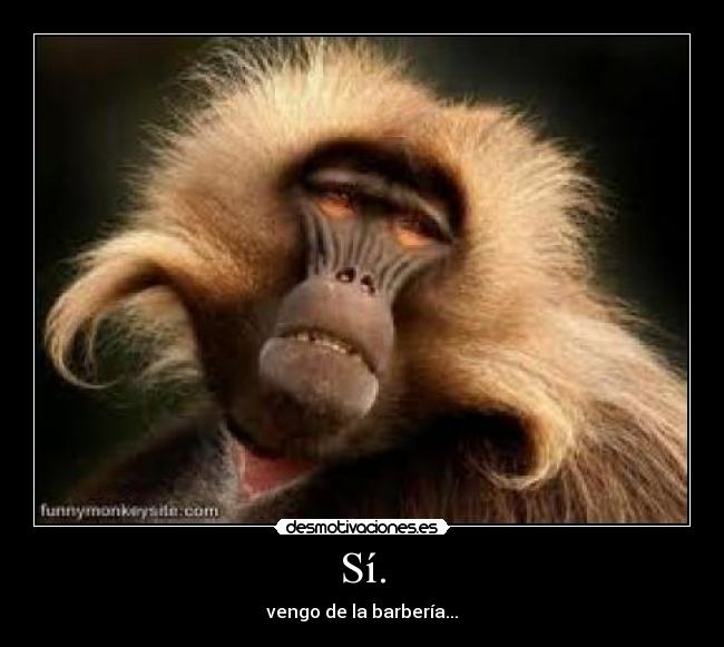 Sí. - vengo de la barbería...