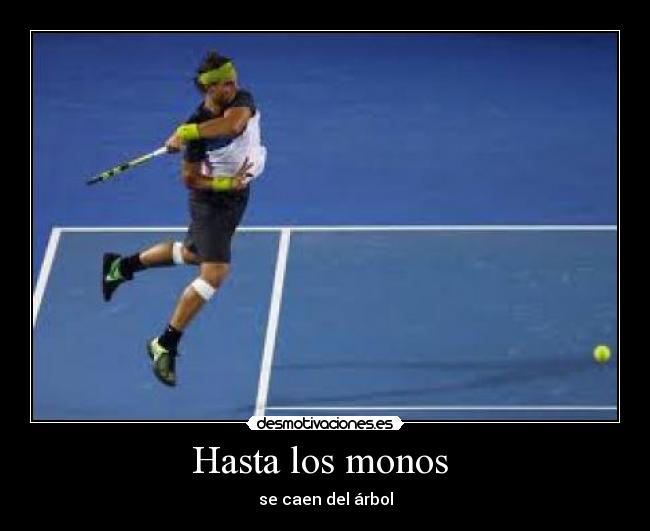 Hasta los monos - se caen del árbol