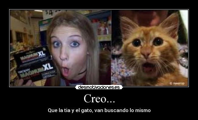 Creo... - Que la tia y el gato, van buscando lo mismo