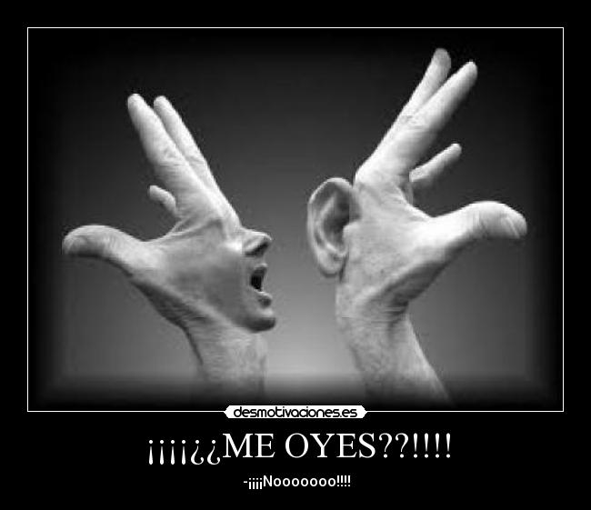 ¡¡¡¡¿¿ME OYES??!!!! - -¡¡¡¡Nooooooo!!!!