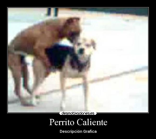 carteles jaja desmotivaciones