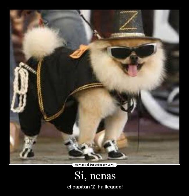 Si, nenas - el capitan Z ha llegado!