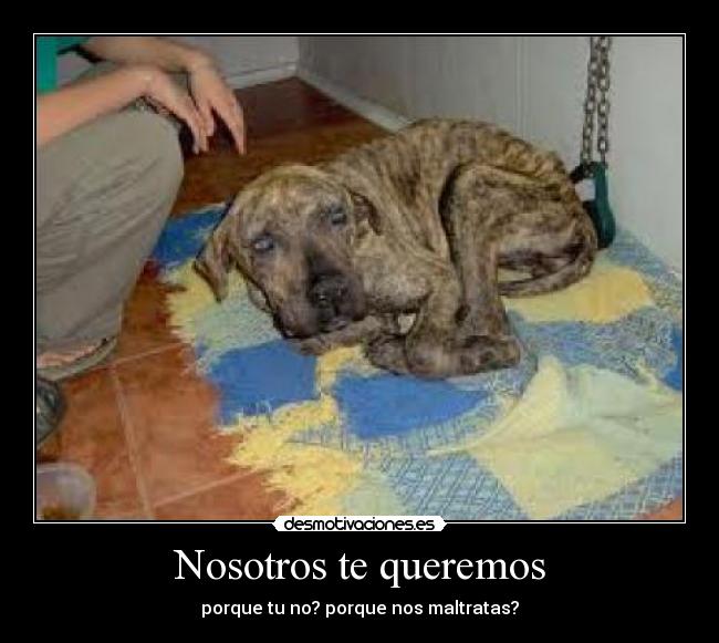 Nosotros te queremos - 