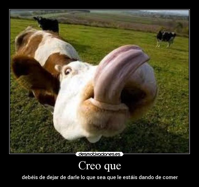 Creo que - debéis de dejar de darle lo que sea que le estáis dando de comer