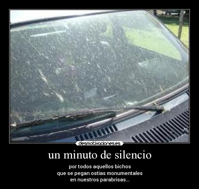 un minuto de silencio - por todos aquellos bichos
que se pegan ostias monumentales
en nuestros parabrisas...