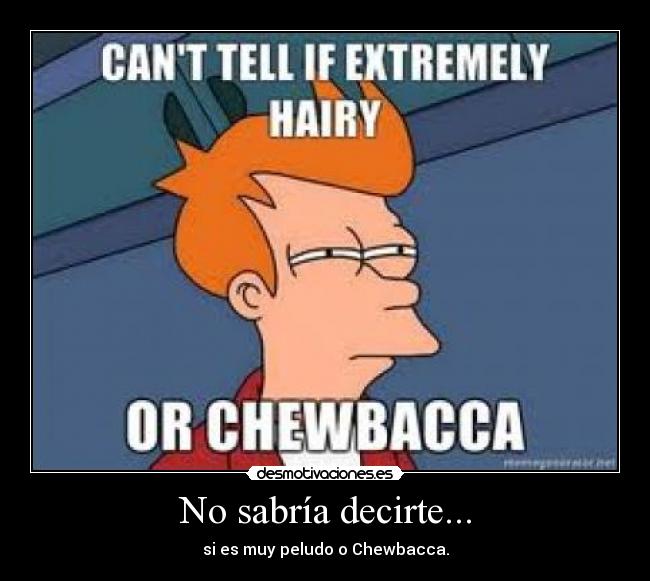No sabría decirte... - si es muy peludo o Chewbacca.