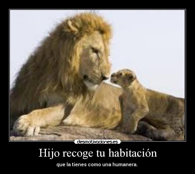 Hijo recoge tu habitación - que la tienes como una humanera. 