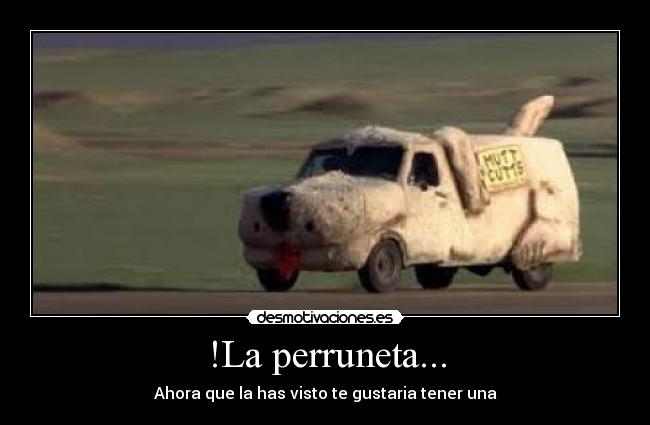 !La perruneta... -