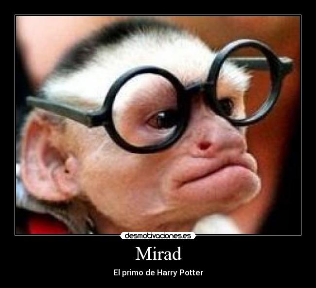 Mirad - El primo de Harry Potter