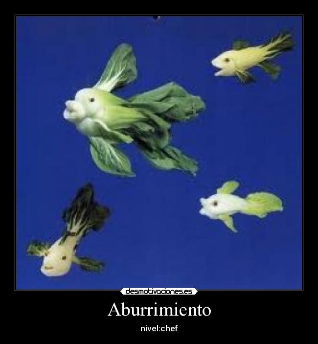 Aburrimiento - nivel:chef