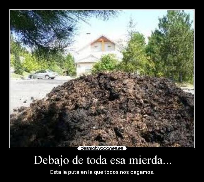 Debajo de toda esa mierda... -